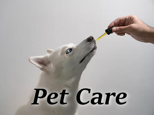 Pet Treats